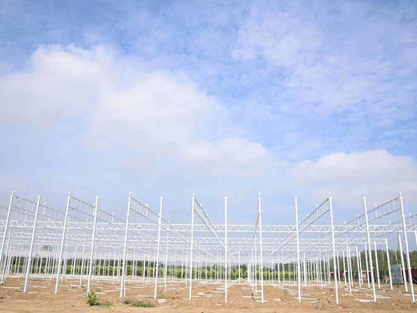 煙臺溫室大棚骨架建造
